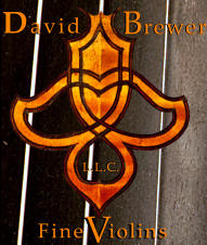 iolins Fine L.L.C. V David  Brewer